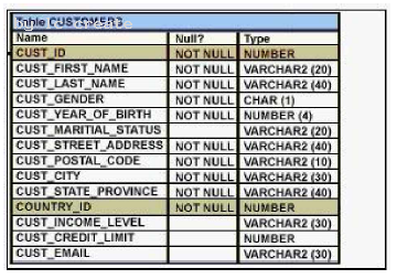 1Z0-051 dumps exhibit