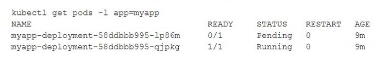 Associate-Cloud-Engineer dumps exhibit