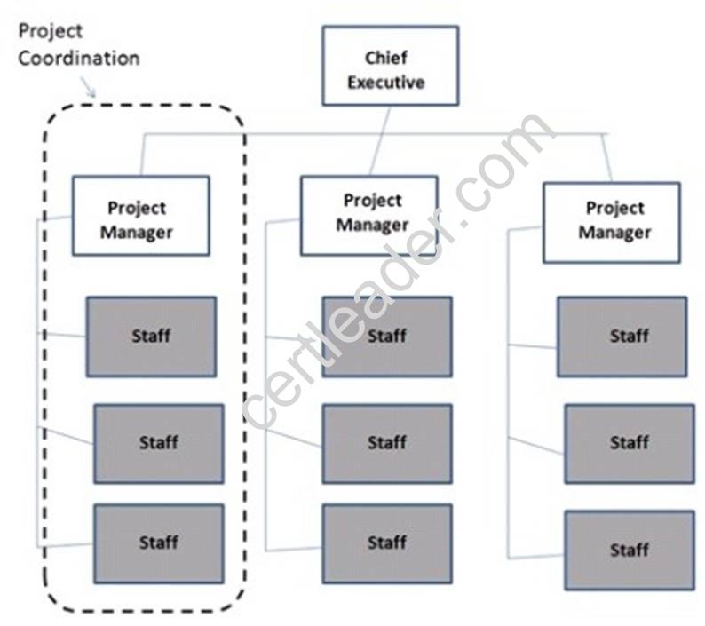 PMP dumps exhibit